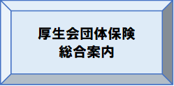 厚生会団体保険総合案内_ボタン画像