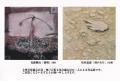 二人展ー10年の歩みー見藤瞬治・坂田嘉憲