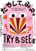 企画展「ためして、みる展」　　滋賀県立美術館