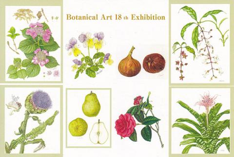 ボタニカルアート