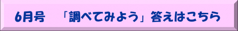 201806こたえ