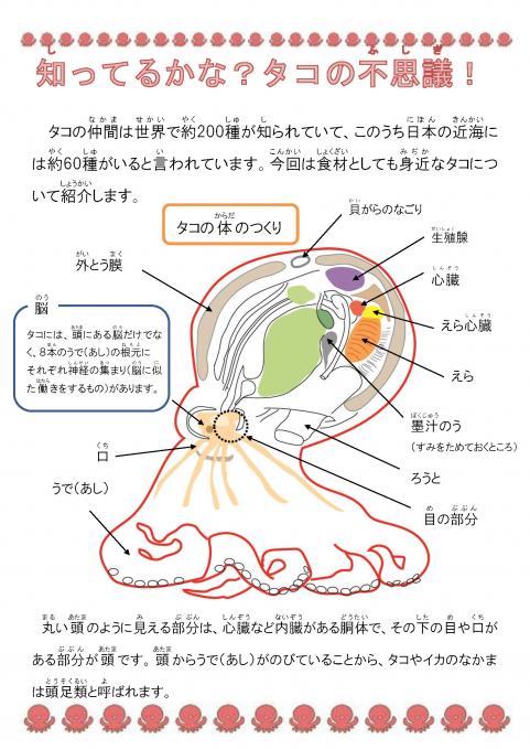 201811いきものえ