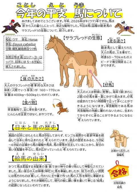 202601kotoshinoeto_uma.jpg