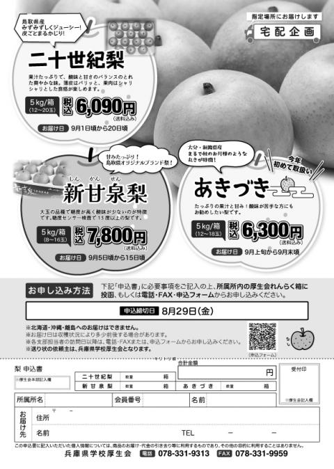 202507nashi.jpg